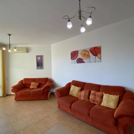 Amadeus 1 - B30 Sunny Daire *