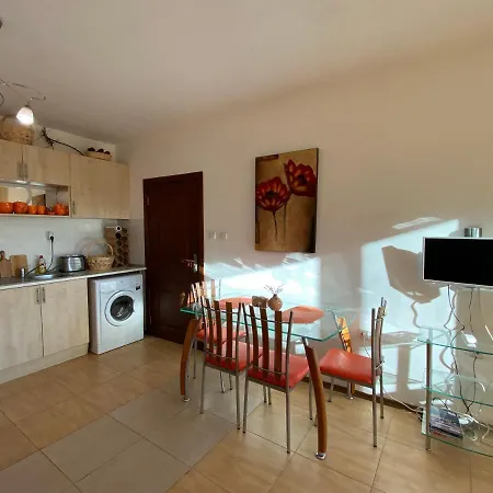Amadeus 1 - B30 Sunny Daire