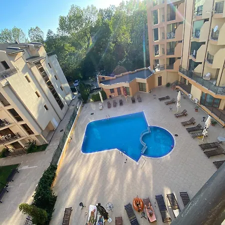 Amadeus 1 - B30 Sunny Daire